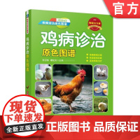 正版 鸡病诊治原色图谱 孙卫东 谭应文 农业养殖实用技术指南 技能培训教材