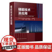 储能技术及应用 中国化工学会储能工程专业委员 会新能源汽车锂电池储能物理储能风力发电储热冷光伏储能技术工作原理分析参考书