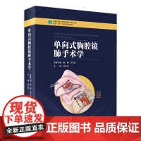 单向式胸腔镜肺手术学 基础篇 手术篇 进阶篇 外科学 医学书籍 刘伦旭 主编 9787117278188 人民卫生出版