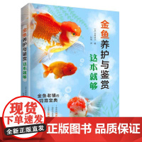 金鱼养护与鉴赏这本就够 (日)长尾桂介著 福建科学技术出版社 花卉、宠物 正版图书籍