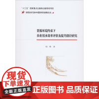 资源环境约束下农业用水效率评价及提升路径研究 杨骞 著 各部门经济专业科技 正版图书籍 经济科学出版社