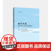 城市风道量化模拟分析与规划设计/王伟武/浙江大学出版社