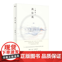 [正版]新民说 离岸流 凌岚 著 留学生 美国 华人文学 中年危机 广西师范大学出版社