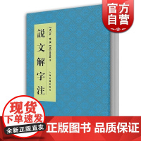 说文解字注 中国文化语言工具书分析研究 字体解析 (清)段玉裁 著 许慎撰 工具书 语言文字 正版图书籍 上海古籍出版社