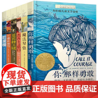 长青藤国际大奖小说第8辑 全6册你那样勇敢魔法琴弦杰西卡的借口丘比特之谜下课去埃及烂泥怪6-12周岁小学生课外阅读书籍故