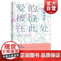 爱的接缝在此处 最果夕日 日本文学 另著/夜空总有最大密度的蓝色/17岁 成为星或兽的季节 日本小说 上海人民出版社