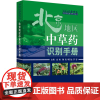 北京地区中草药识别手册 金艳,鞠海,李京生 等 编 药学生活 正版图书籍 中国中医药出版社