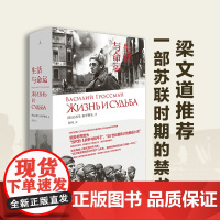 生活与命运 瓦西里 格罗斯曼 梁文道 欧美书界誉为当代的《战争与和平》俄国小说 理想国图书店