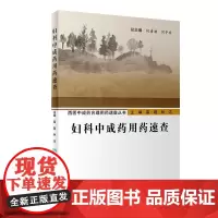 [店]妇科中成药用药速查 雷磊 林洁主编 中医妇科学人卫社中医书籍人民卫生出版社中药书籍大全中药学西医中成药合理用药