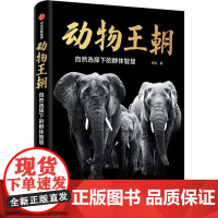 动物王朝 自然选择下的群体智慧 冉浩 著 科普读物其它文教 正版图书籍 中信出版社