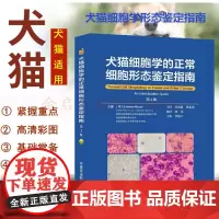 犬猫细胞学的正常细胞形态鉴定指南 张兆霞 侯忠勇主译 犬猫正常细胞形态鉴定9787511643469