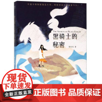 正版 黑骑士的秘密 邹凡凡著冰心儿童文学奖作家 中小学生课外文学儿童文学6-13岁少儿读物榜图书籍 云南美术出版社