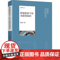 欧盟框架下的非政府组织 徐莹 著 社会科学总论经管、励志 正版图书籍 中国社会科学出版社