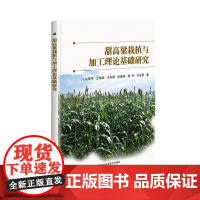 甜高粱栽植与加工理论基础研究 甜高粱栽培 高粱酒书籍 高粱书 高粱栽培技术