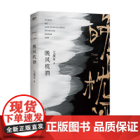 晚风枕酒 七堇年著WE-48正版闪发Z2青春文学磨铁图书