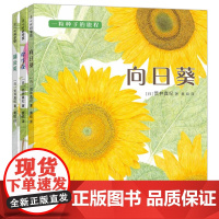 [正版书籍]一粒种子的旅程:向日葵、牵牛花、蒲公英(全3册)