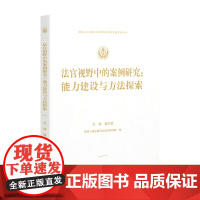 法官视野中的案例研究 : 能力建设与方法探索