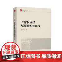 著作权侵权惩罚性赔偿研究 袁杏桃 著 法学理论社科 正版图书籍 知识产权出版社