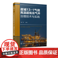 崖城13-1气田高温超低压气井治理技术与实践 高温低压气井积液治理腐蚀防护书籍 油气田开发生产 采油工艺研究和方案实施
