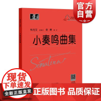 新版 小奏鸣曲集大字版大符头钢琴系列教程红皮书钢琴初级练习曲集 乐谱五线谱自学入门基础教材教程书籍韦丹文 上海教育出版社