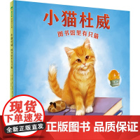 [正版]魔法象绘本 小猫杜威:图书馆里有只猫 4-8岁及以上儿童图画书 国家图书馆少儿馆馆长王志庚倾情广西师范大学