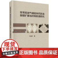 [正版书籍]非常规油气储层体积改造裂缝扩展与织网机理研究