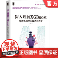 正版 深入理解XGBoost 高效机器学习算法与进阶 何龙 集成学习 分布式训练方法 神经网络 人工智能 业务场景