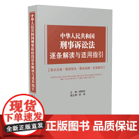 [正版书籍]中华人民共和国刑事诉讼法逐条解读与适用指引