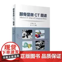 [店 ]颞骨显微CT图谱 于子龙 著 耳鼻咽喉科学 9787117274661 2019年10月参考书 人民卫生出版