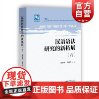 汉语语法研究的新拓展(九)邵敬敏/金铉哲编 形式语法 语义语法 汉语语法研究 学术参考资料 上海教育出版社