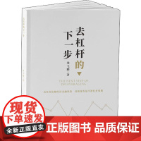 去杠杆的下一步 娄飞鹏 著 金融经管、励志 正版图书籍 西南财经大学出版社