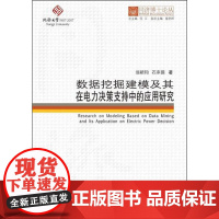 数据挖掘建模及其在电力决策支持中的应用研究 翁颖钧,石来德 著 伍江 编 建筑/水利(新)专业科技 正版图书籍