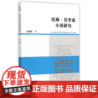 托妮.莫里森小说研究 赵宏维 著作 著 文学理论/文学评论与研究文学 正版图书籍 中国社会科学出版社