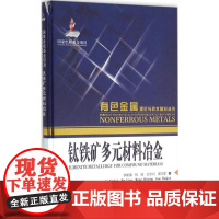 钛铁矿多元材料冶金 李新海 等 著 环境科学专业科技 正版图书籍 中南大学出版社