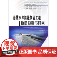 岳城水库除险加固工程地质勘查与研究 高玉生 黄向 著 建筑/水利(新)专业科技 正版图书籍 黄河水利出版社