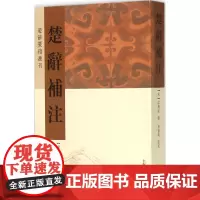 楚辞补注 (宋)洪兴祖 撰;黄灵庚 点校 著 世界名著文学 正版图书籍 上海古籍出版社