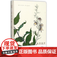 本草流芳 阿莱 编著 收藏鉴赏艺术 正版图书籍 北京联合出版公司