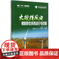 大规模风电储能联合系统运行与控制 王芝茗 主编 建筑/水利(新)专业科技 正版图书籍 中国电力出版社