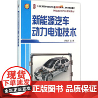 新能源汽车动力电池技术 麻友良 主编 著作 大学教材大中专 正版图书籍 北京大学出版社