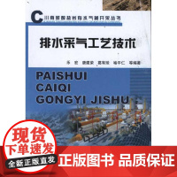 排水采气工艺技术 乐宏 著作 石油 天然气工业专业科技 正版图书籍 石油工业出版社