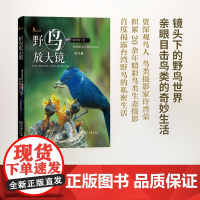 野鸟放大镜住行篇 许晋荣 著 航空航天专业科技 正版图书籍 商务印书馆