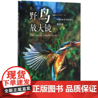 野鸟放大镜食衣篇 许晋荣 著 著 航空航天专业科技 正版图书籍 商务印书馆