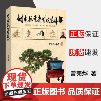 树木盆景造型技艺详解 曾宪烨 盆景制作书盆景造型书 微型小型特大庭院室内四季野生假山树木盆景养护书籍家庭园艺种花