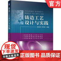 正版 铸造工艺设计与实践 赵成志 张贺新 铸钢件 铸铁件 有色合金铸件 方案参数 砂芯 浇注 补缩 装备 技术标准