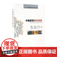 正版 中国紫菜原色图集 朱建一等主编 中国农业出版社 9787109218833