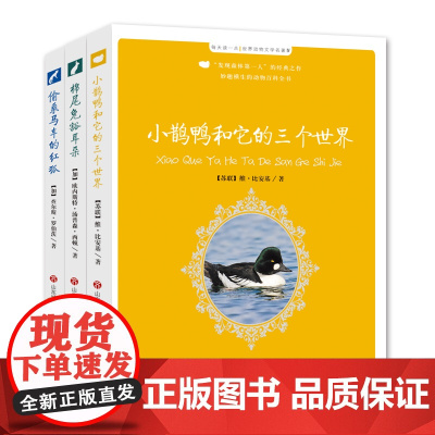 [正版]共3本 世界动物文学名著Ⅳ:棉尾兔豁耳朵+小鹊鸭和它的三个世界+偷乘马车的红狐 济南出版社