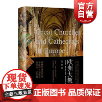 欧洲大教堂 朱子仪 著 欧洲行 欧洲教堂建筑指南册 欧洲文化传统的入门书 旅行攻略 旅游 正版图书籍 上海人民出版社 世