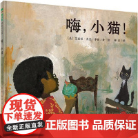 魔法象 嗨,小猫!2-8岁 儿童绘本 图画书 益智 广西师范大学出版社店发售 D