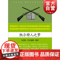 巴尔加斯 略萨作品系列:凯尔特人之梦 孙家孟 诺贝尔文学奖得主全新轰动性代表作 八卦历史 正版图书籍 上海文艺出版社 世