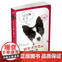 牧羊犬杰克1我想有个家 8/12世界儿童文学精选麦克米伦世纪 儿童文学8-12岁青少年儿童中小学生阅读课外书